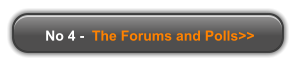 No 4 -  The Forums and Polls>>
